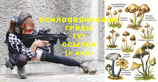 герыч Абдулино