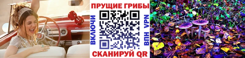 закладки  Гагарин  Псилоцибиновые грибы Psilocybe 
