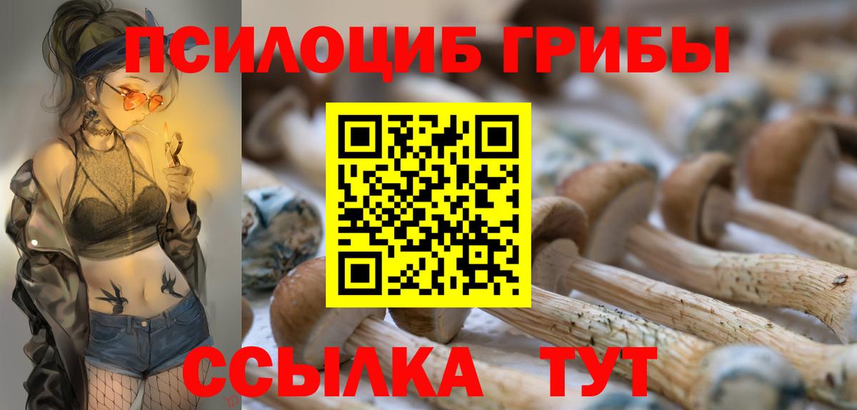 Псилоцибиновые грибы мухоморы Гагарин